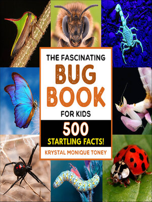 cover image of The Fascinating Bug Book for Kids